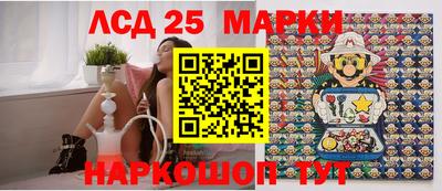 СК Донецк
