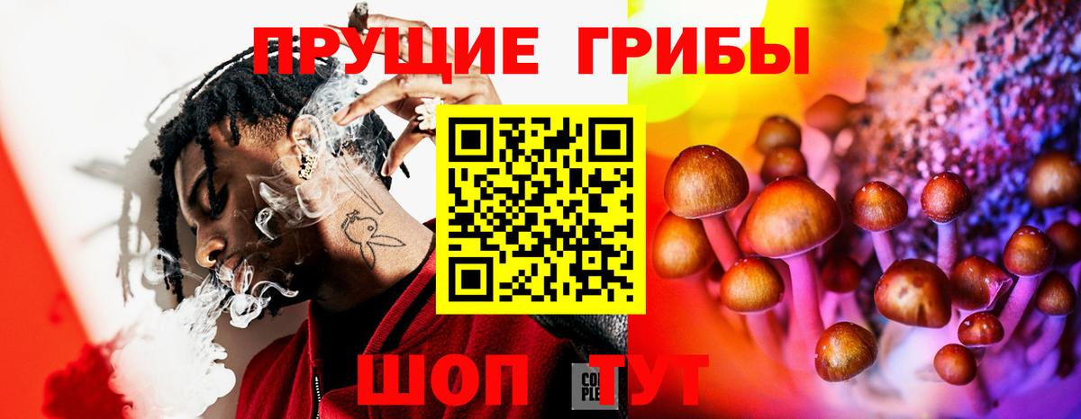 Галлюциногенные грибы Psilocybine cubensis Ивантеевка
