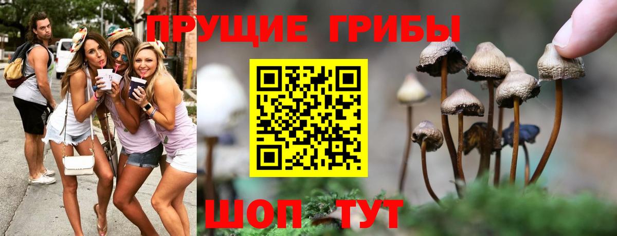 дарнет шоп  Псилоцибиновые грибы ЛСД  Ивантеевка  Галлюциногенные грибы ЛСД 