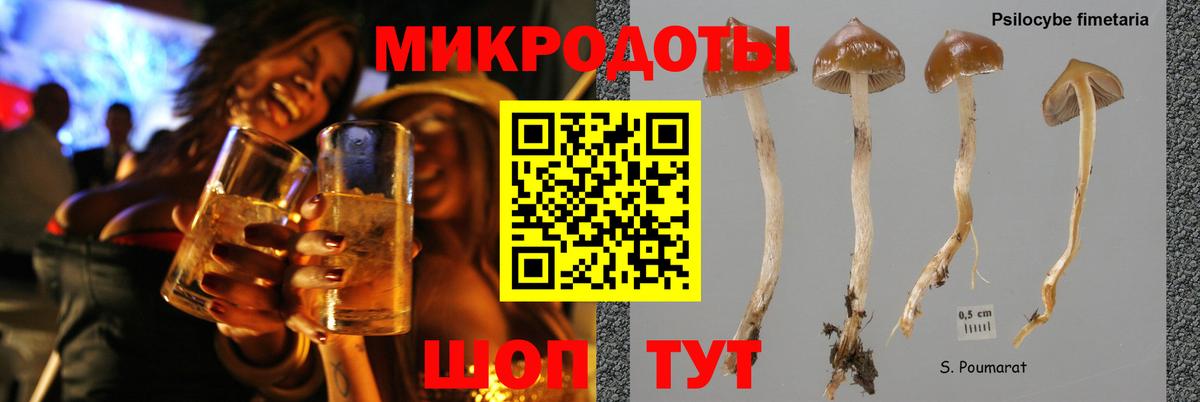 Галлюциногенные грибы Cubensis  Вход с VPN  Ивантеевка  Псилоцибиновые грибы прущие грибы 