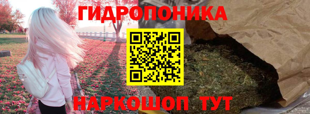 Шишки марихуана планчик  Вход с VPN  Каннабис индика  Бошки марихуана план  Ивантеевка 